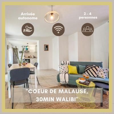 Le Gite 1 - Appartement T2 De 53M2, Ideal Pro Ou Couples, Coeur De Ville Et Proche Golfech Malause Esterno foto